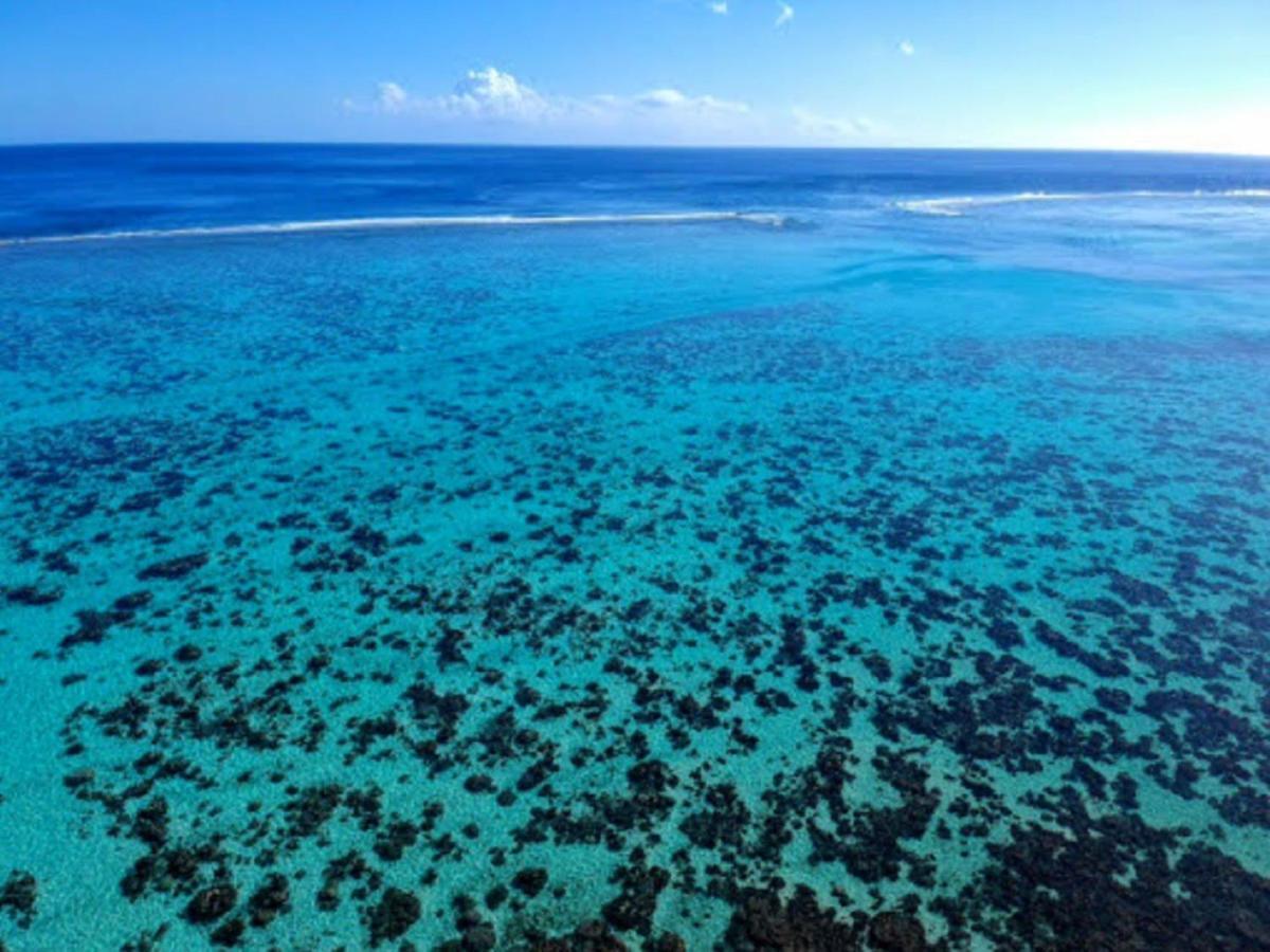 Moorea - Fare Taina Nui Haapiti Zewnętrze zdjęcie